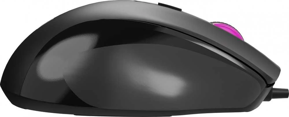 NATEC Pelė Pigeon 2 4000DPI juodas