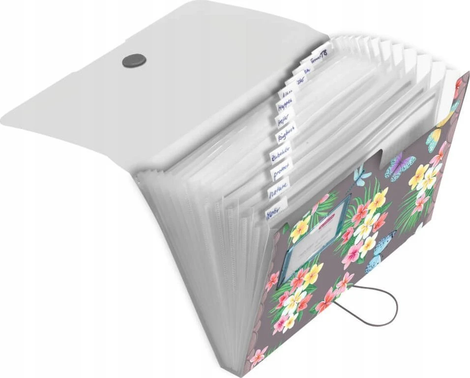 Penalas Herlitz Herlitz Fächermappe PP 12F Ladylike Butrfl.