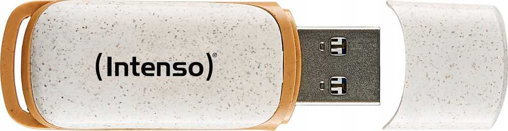 Intenso Žalias Line 64 GB, USB-Stick - beige/ruda, USB-A 3.2 Gen 1