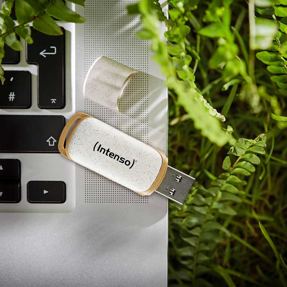 Intenso Žalias Line 64 GB, USB-Stick - beige/ruda, USB-A 3.2 Gen 1