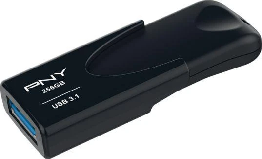 PNY Attache 4 3.1 256GB