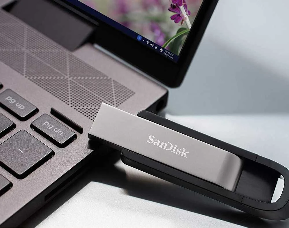 USB laikmena SanDisk Cruzer Extreme GO 256GB USB 3.2 SDCZ810-256G-G46