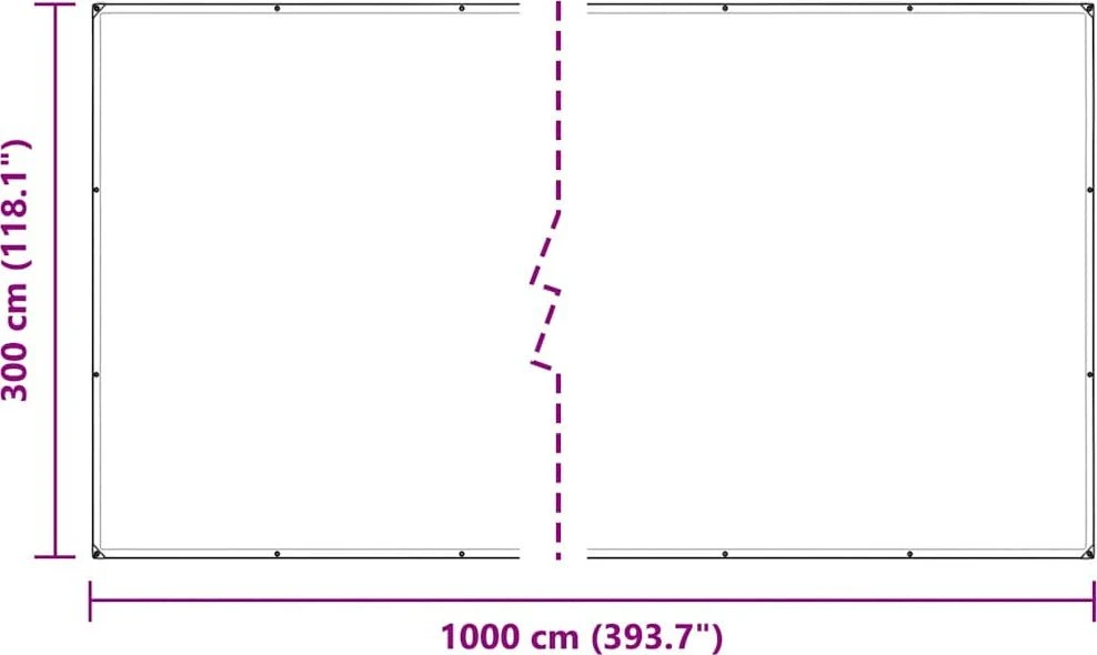 Skaidrus brezentas su kilpomis 3x10 m PVC