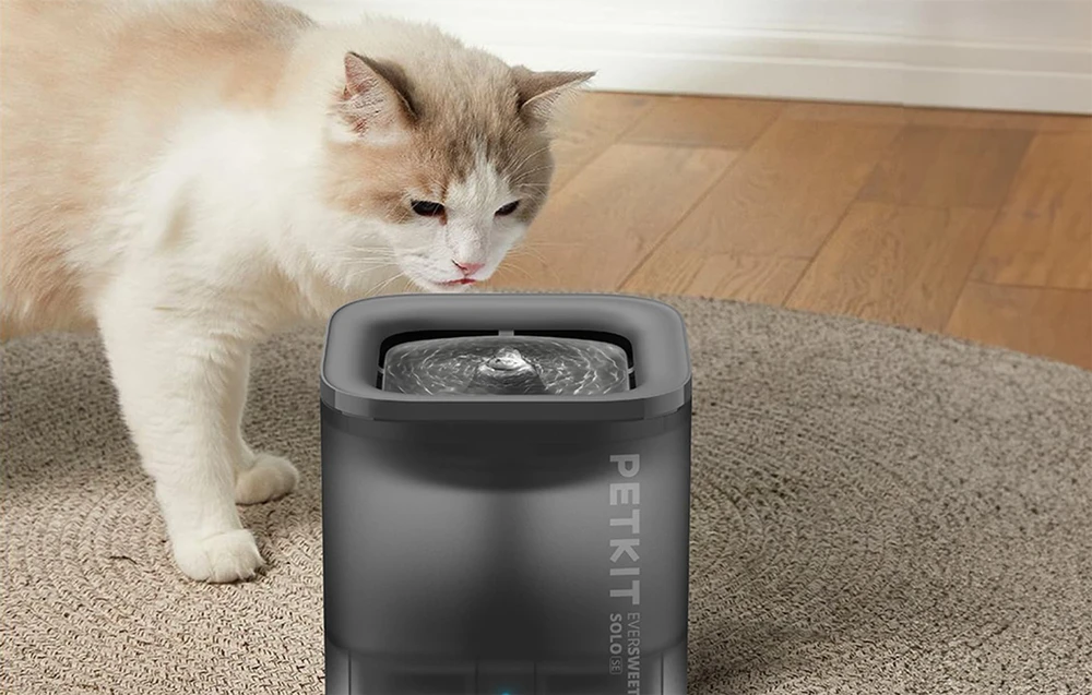 PETKIT | „Smart Pet“ gėrimo fontanas | Eversweet Solo | Talpa 1,8 L | Filtravimas | Medžiaga Plastikas | Pilkas