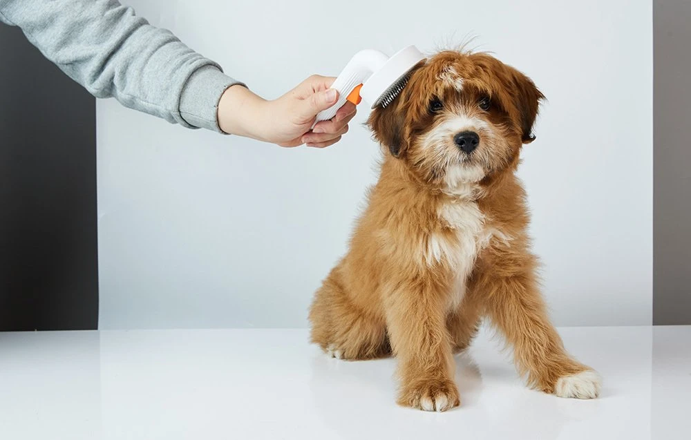 Furminator PETKIT | Didelių augintinių priežiūra 2 | Baltas