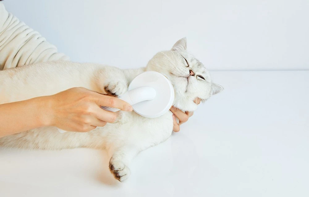 Furminator PETKIT | Didelių augintinių priežiūra 2 | Baltas