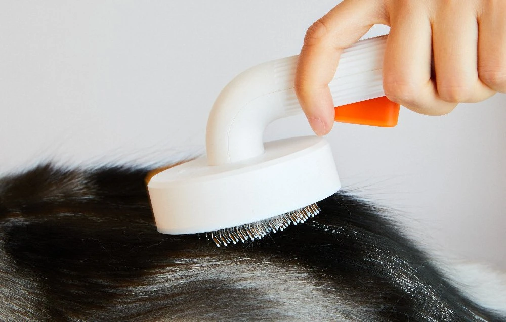 Furminator PETKIT | Didelių augintinių priežiūra 2 | Baltas