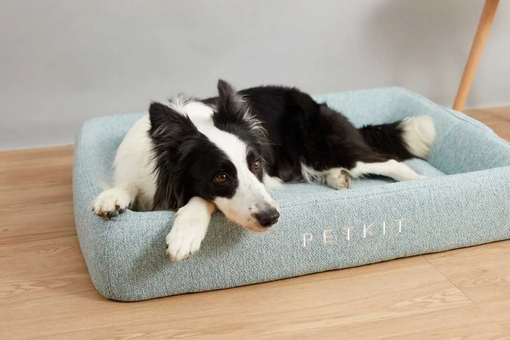 Gyvūno guolis PETKIT Deep Sleep, L dydis, šviesiai mėlynas