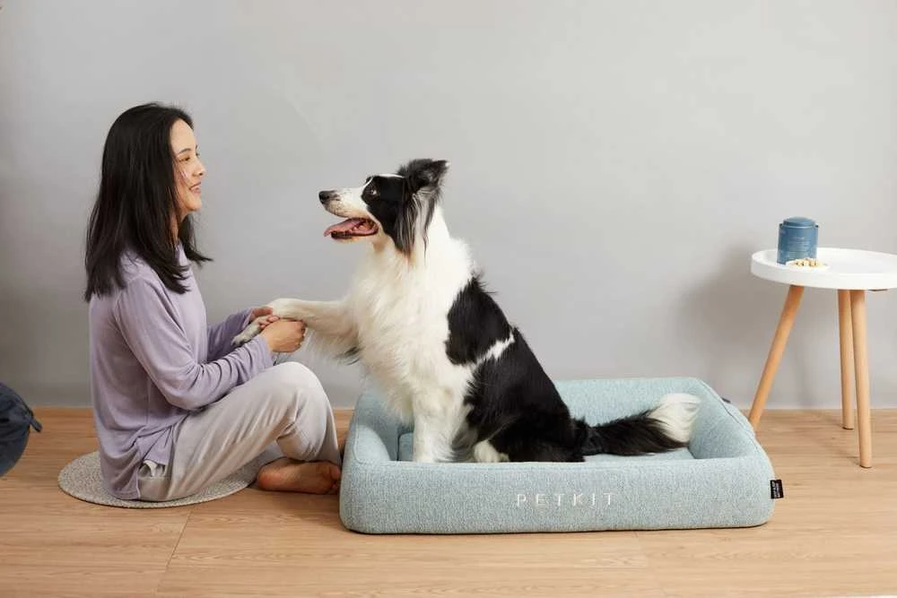 Gyvūno guolis PETKIT Deep Sleep, L dydis, šviesiai mėlynas