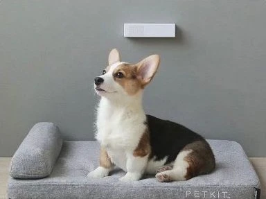 Kvapų neutralizatorius PETKIT PURA Air