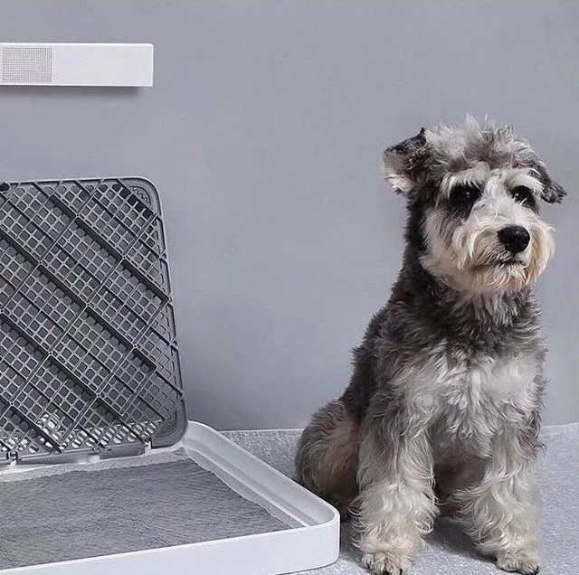Kvapų neutralizatorius PETKIT PURA Air