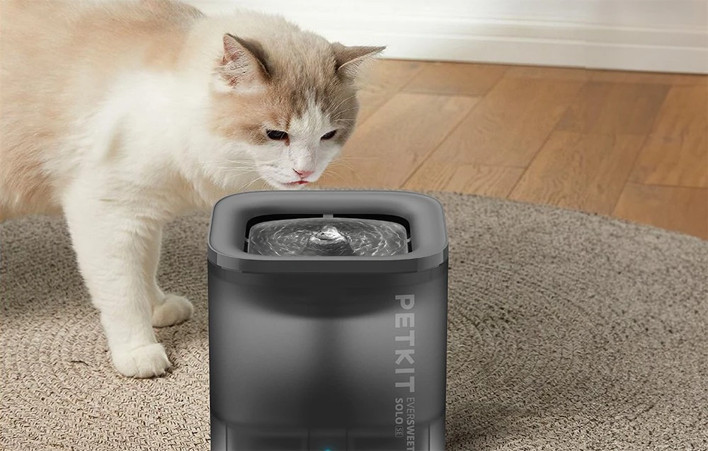 PETKIT | „Smart Pet“ gėrimo fontanas | Eversweet Solo | Talpa 1,8 L | Filtravimas | Medžiaga Plastikas | Pilkas