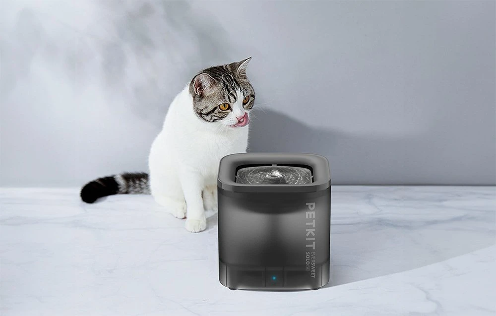PETKIT | „Smart Pet“ gėrimo fontanas | Eversweet Solo | Talpa 1,8 L | Filtravimas | Medžiaga Plastikas | Pilkas