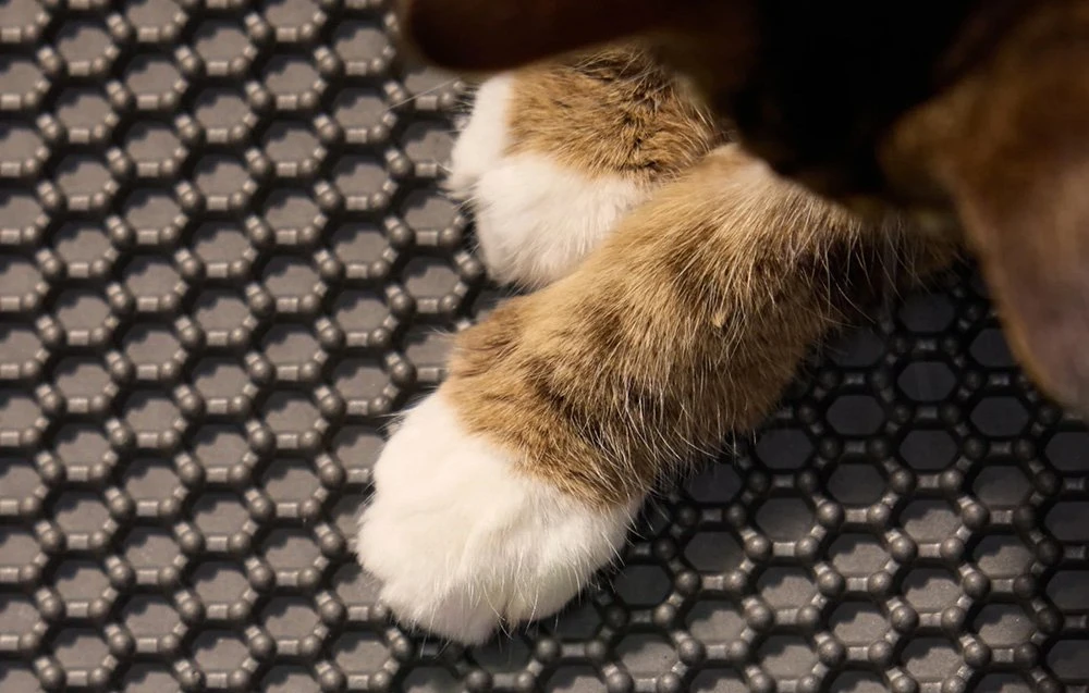 Petlibro Luma Litter Box Mat