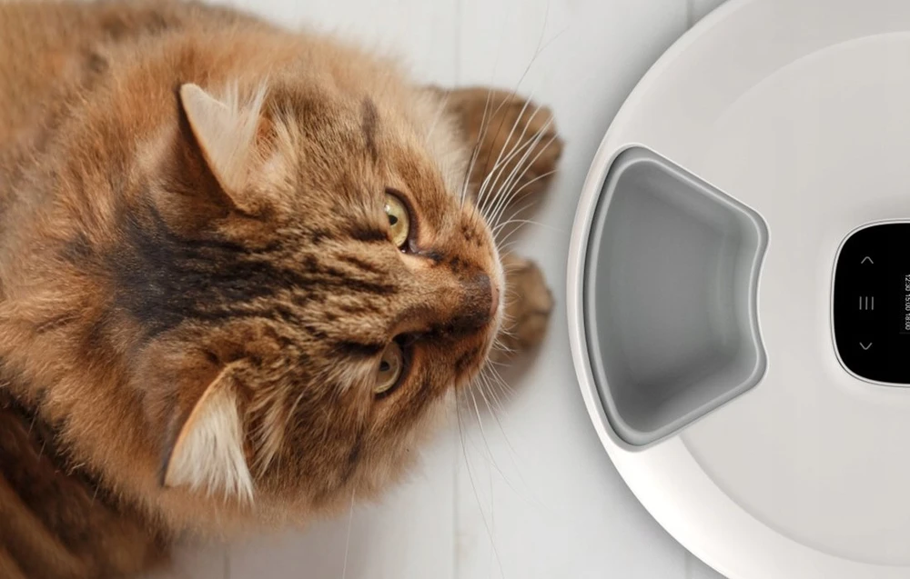 Intelligent Food Dispenser Petoneer NutriSpin