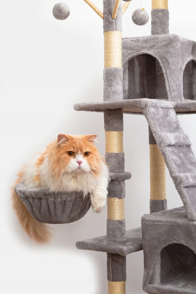„Pets Collection“ draskyklė katėms, „Mr. Pretzel Lynx“, 50 x 50 x 170 cm