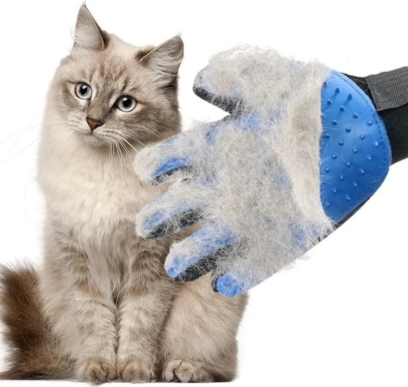 Pets Collection Pirštinė kailiui šukuoti, šepetys šuniui, katei, triušiui šukuoti