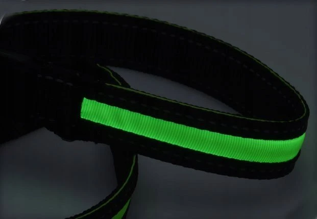 Oem Pets Collection Švytintis LED pavadėlis šuniui, oranžinis, 120 cm