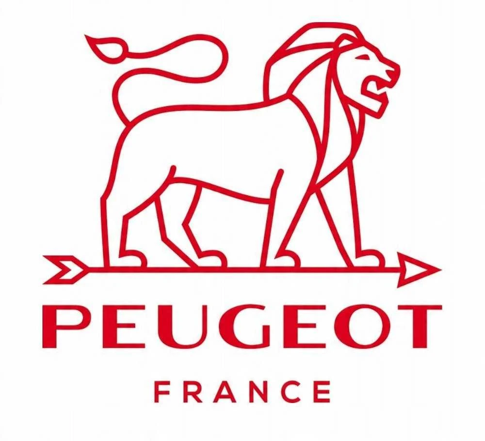 PEUGEOT APPOLIA kvadratinis indas 36 cm mėlynas