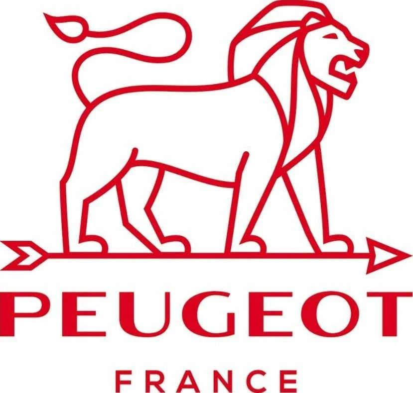 Peugeot Mill Pipirų malūnas Oléron bukas, acilinis