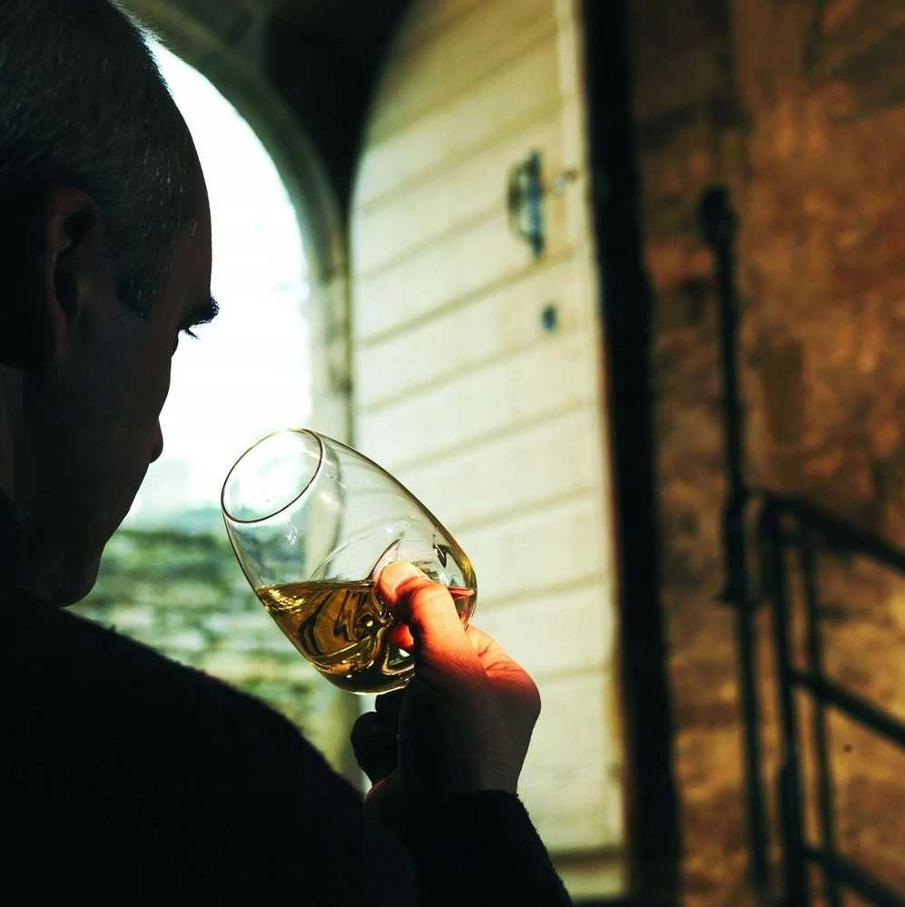 Peugeot Vyno degustacijos taurė, Le Taster