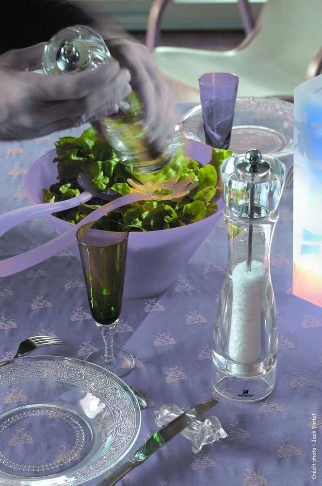 Peugeot Salt grinder, 16 cm, acrylic, Vittel