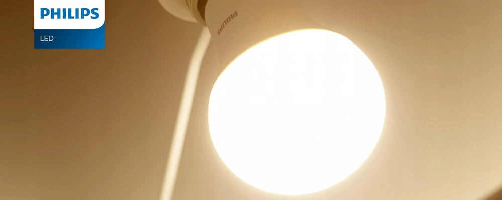 Philips LEMPUTĖ LED E27 A60 2.3W 2700K 485LM MAT