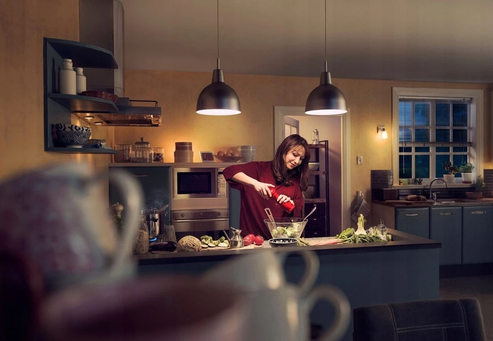 Philips Ecofit LED lemputė 13 W pakaitinė 100 W 1521 lm 2700 K LED lemputė ND 13–100 W A60 E27 827 1CT 2 metų garantija