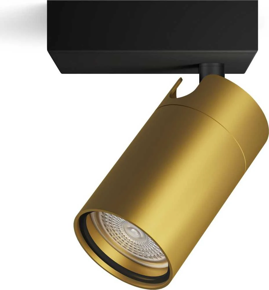 Lubinis šviestuvas Philips Šviestuvas lubų ir sienų Kosipo 929004104501, 5 W, GU10
