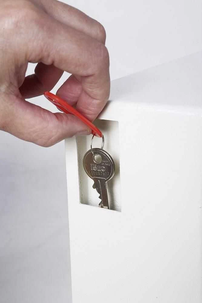 Phoenix Safe Carruzzo Phoenix Seifas Co. Cygnus KS0032E Metalas Balta