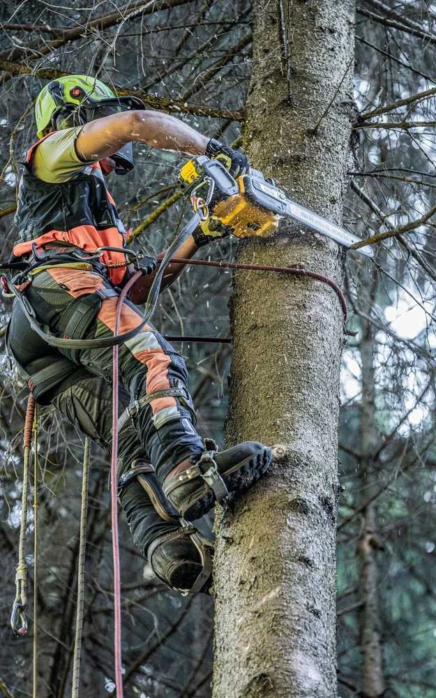 Grandininis pjūklas DeWalt FLEXVOLT DCMCST635N, 54V, 35cm, be akumuliatoriaus ir kroviklio