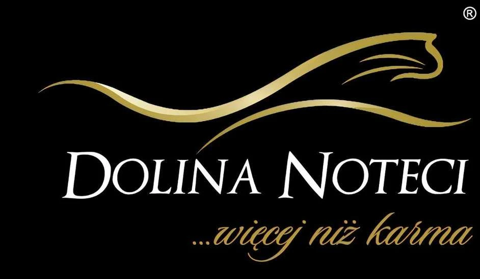 Dolina Noteci Piper su elniena ir moliūgais - šlapias šunų ėdalas 800g