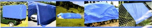 Telone Uždangalas Geko U01960; 5x8 m