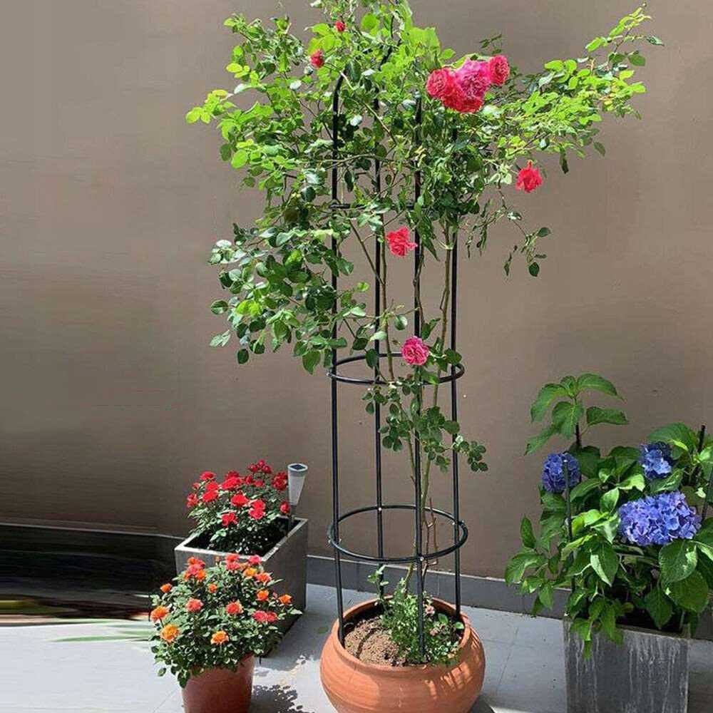 Planta Gotel Koloninė sodo pergolė gėlėms