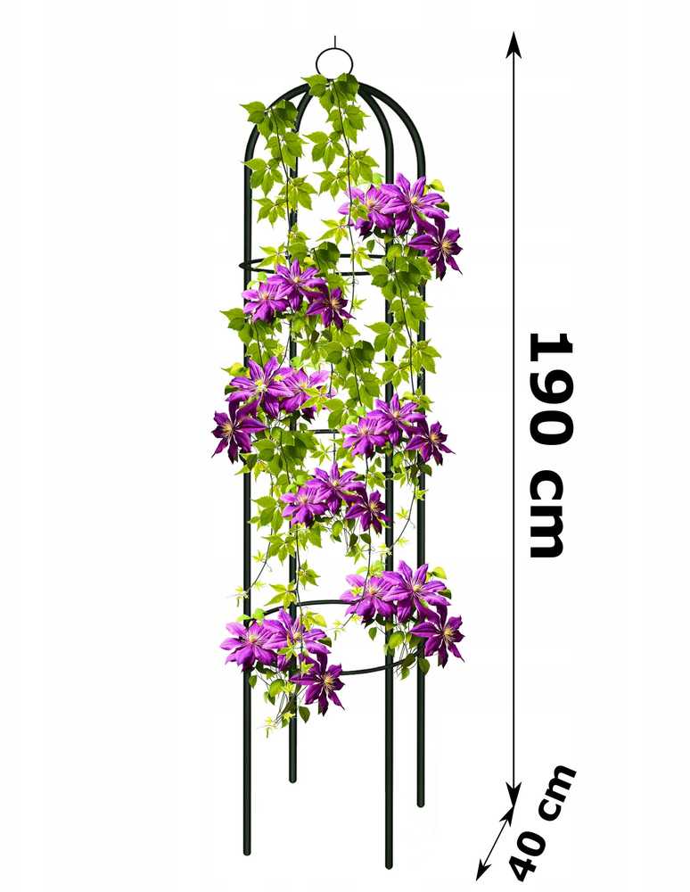 Planta Gotel Koloninė sodo pergolė gėlėms