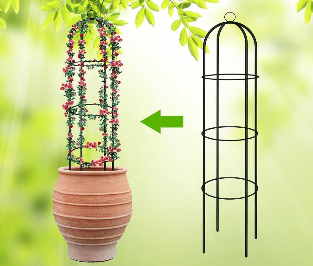 Planta Gotel Koloninė sodo pergolė gėlėms