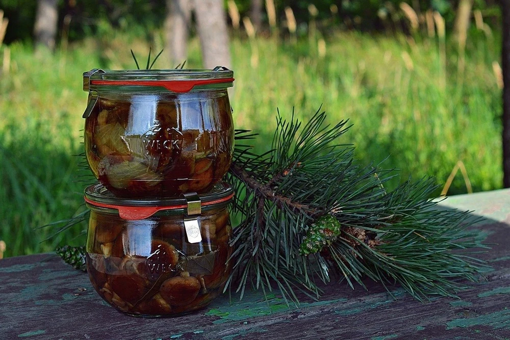 Plast Team „Weck“ tarpinė, 6 cm, 6 vnt.