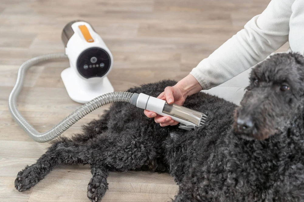TRIXIE Kailio siurblys su kirpimo mašinėle ir šukų rinkiniu, 2 l, 600 W
