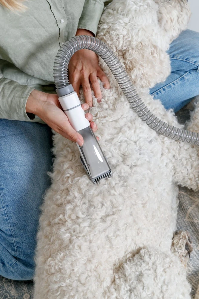 TRIXIE Kailio siurblys su kirpimo mašinėle ir šukų rinkiniu, 2 l, 600 W