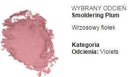 Plum „Clinique Blushing Blush“ kompaktinė pudra, 15 žėrintis, 6 g