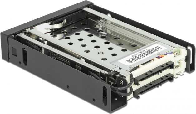 Delock 3,5" nuimamas rėmas 2 x 2,5 SATA HDD