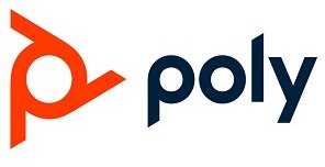 Ausinės Hewlett Packard (HP) POLY 2,5 mm iki QD kabelis (0,45 M)