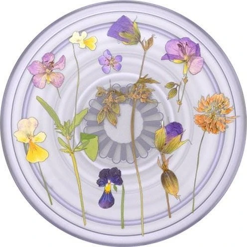 PopSockets Telefono laikiklis ir stovas PlantCore Grip Violetinė Fields 806198