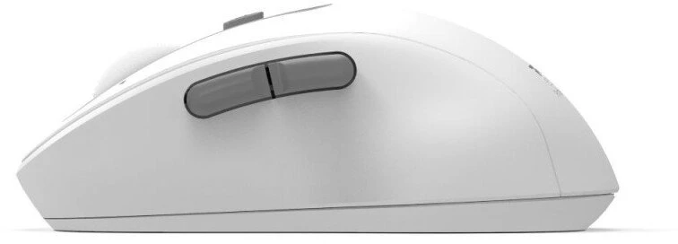 „Port Designs PORT CONNECT EXPERT“, „Bluetooth“ ir 2,4 GHz belaidė įkraunama pelė, USB-C, Baltas