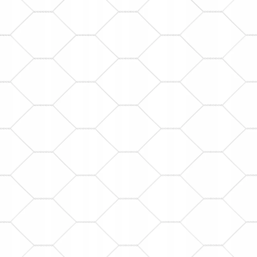 Hexagonal Fence with Post 10 x 1,6 m Galvanizuotas plienas