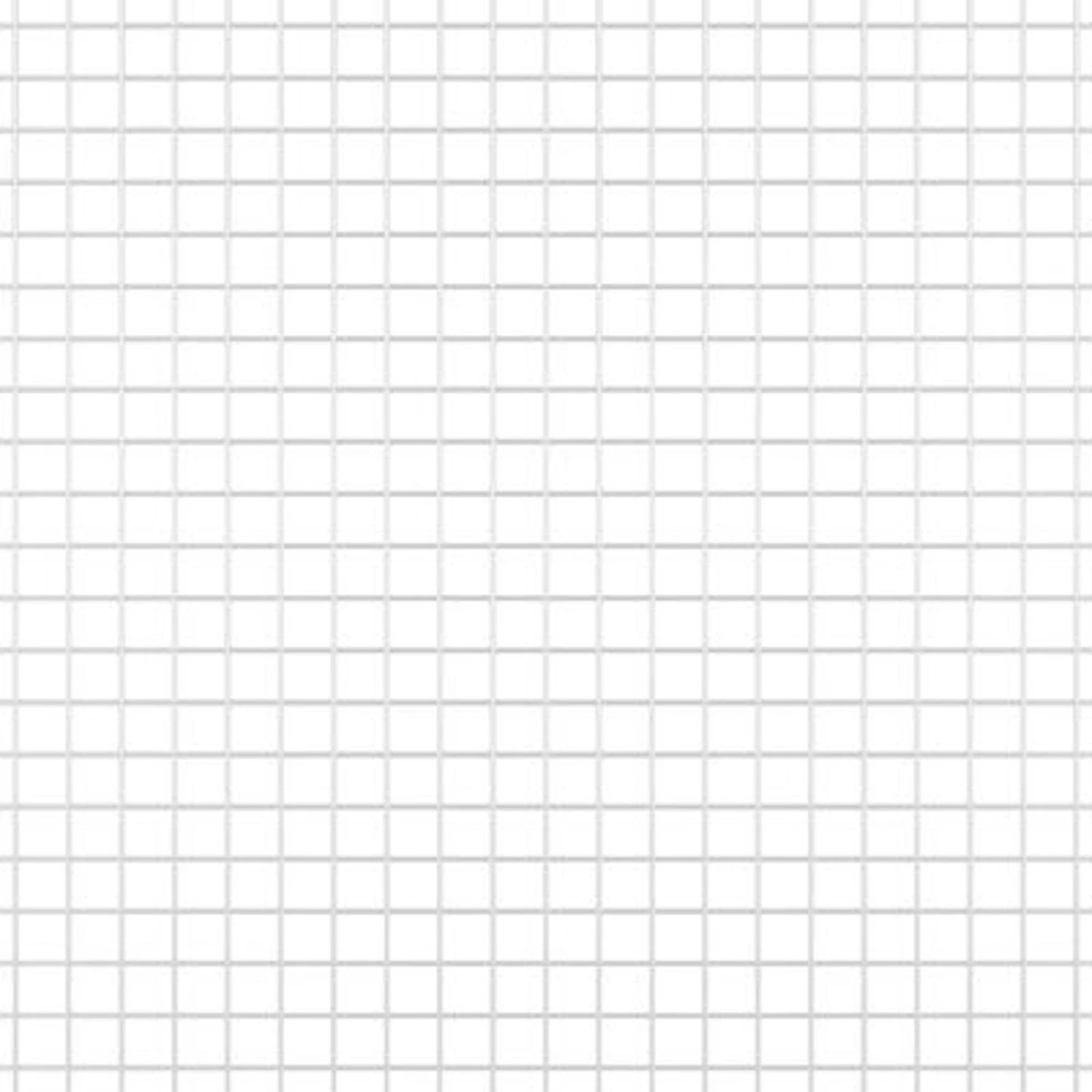 Suvirinto vielos tvoros 2500 x 80 cm Sidabro