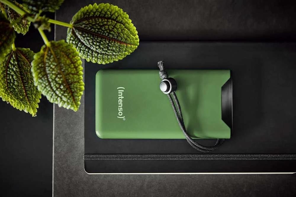 Powerbank Intenso F10000 10000 mAh Žalias (7332037)