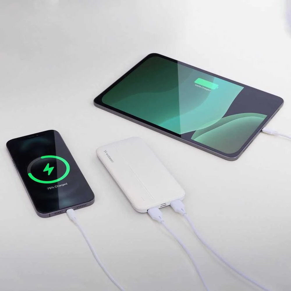 Wozinsky powerbank Li-Po 10000mAh 2 x USB baltos spalvos (WPBWE1)