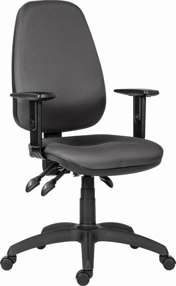 Powerton ERGO ANNA ergonominė biuro kėdė, rutulinė