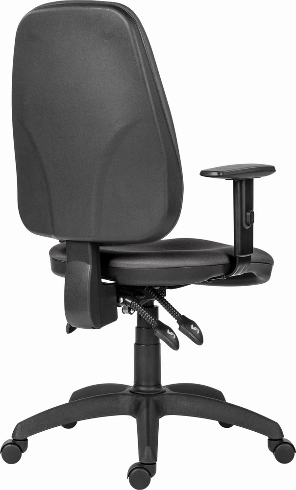 Powerton ERGO ANNA ergonominė biuro kėdė, rutulinė